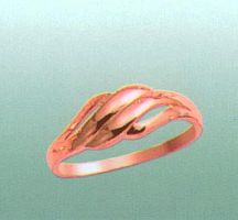 1634  Опока